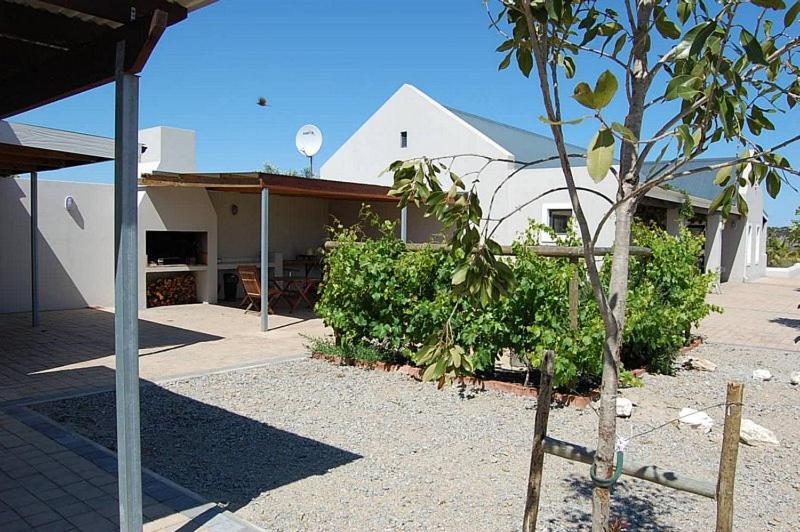 Longacre Olive & Vineyard Estate ξενώνας Langebaan Εξωτερικό φωτογραφία